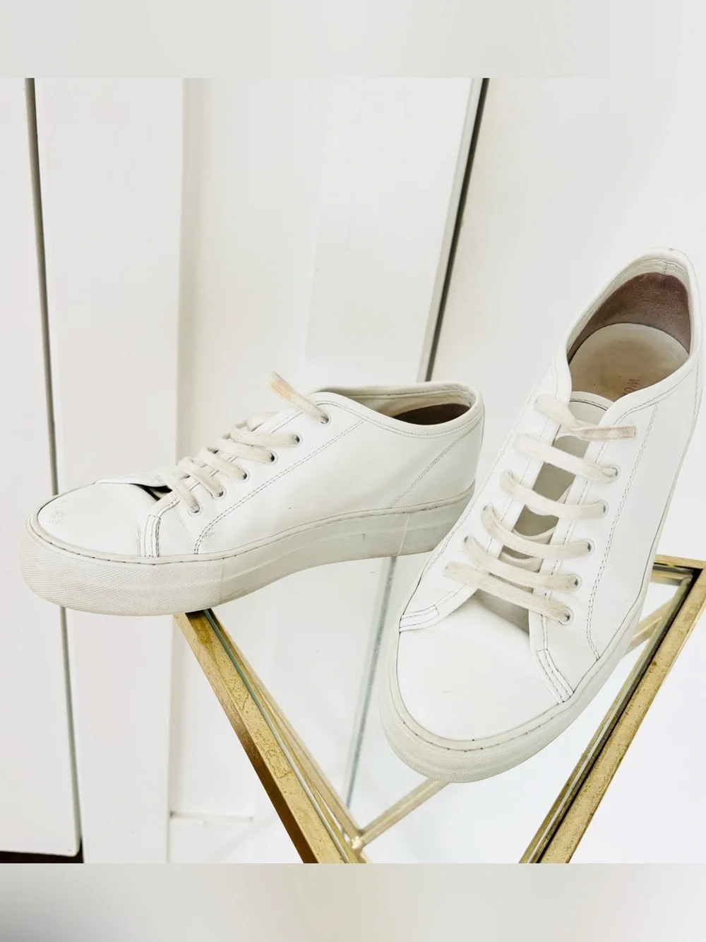 Common Projects pet free